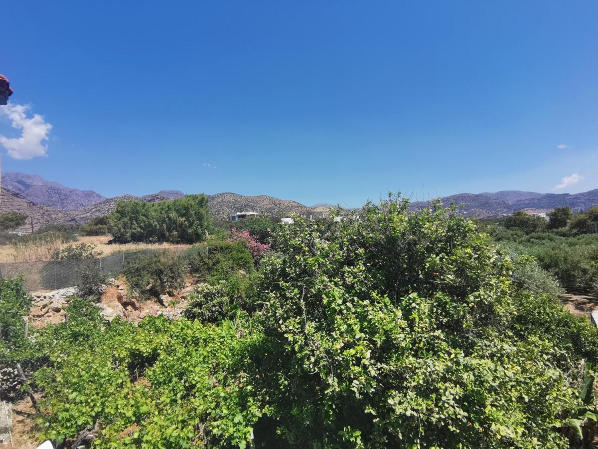 Big Blue Apartments Μακρύγιαλος Εξωτερικό φωτογραφία