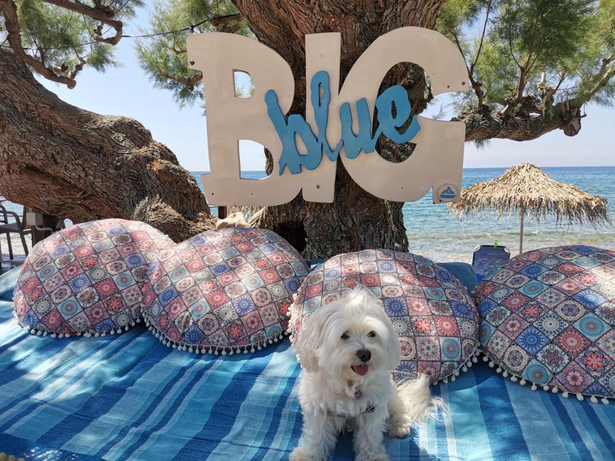 Big Blue Apartments Μακρύγιαλος Εξωτερικό φωτογραφία