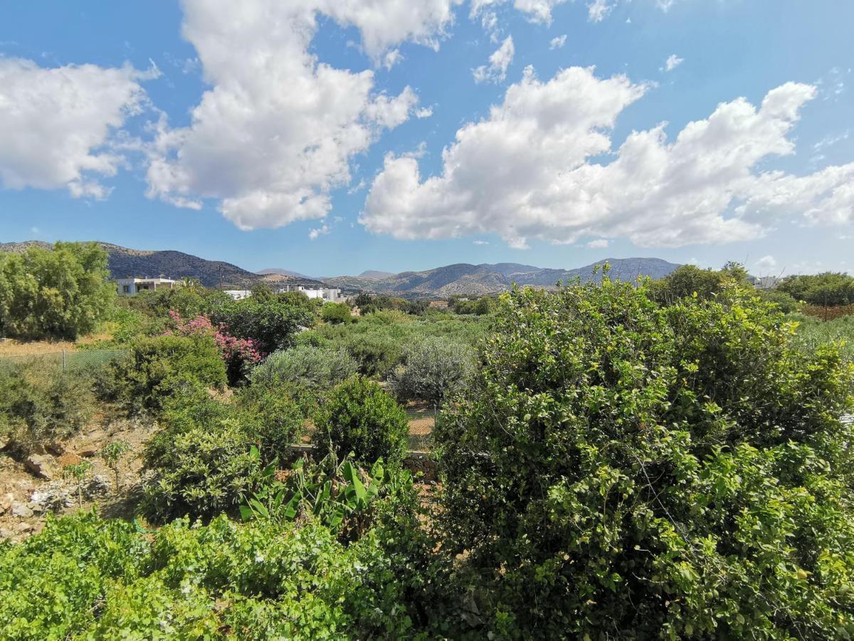 Big Blue Apartments Μακρύγιαλος Εξωτερικό φωτογραφία