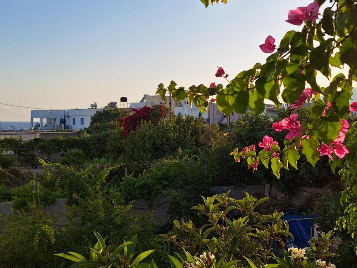 Big Blue Apartments Μακρύγιαλος Εξωτερικό φωτογραφία