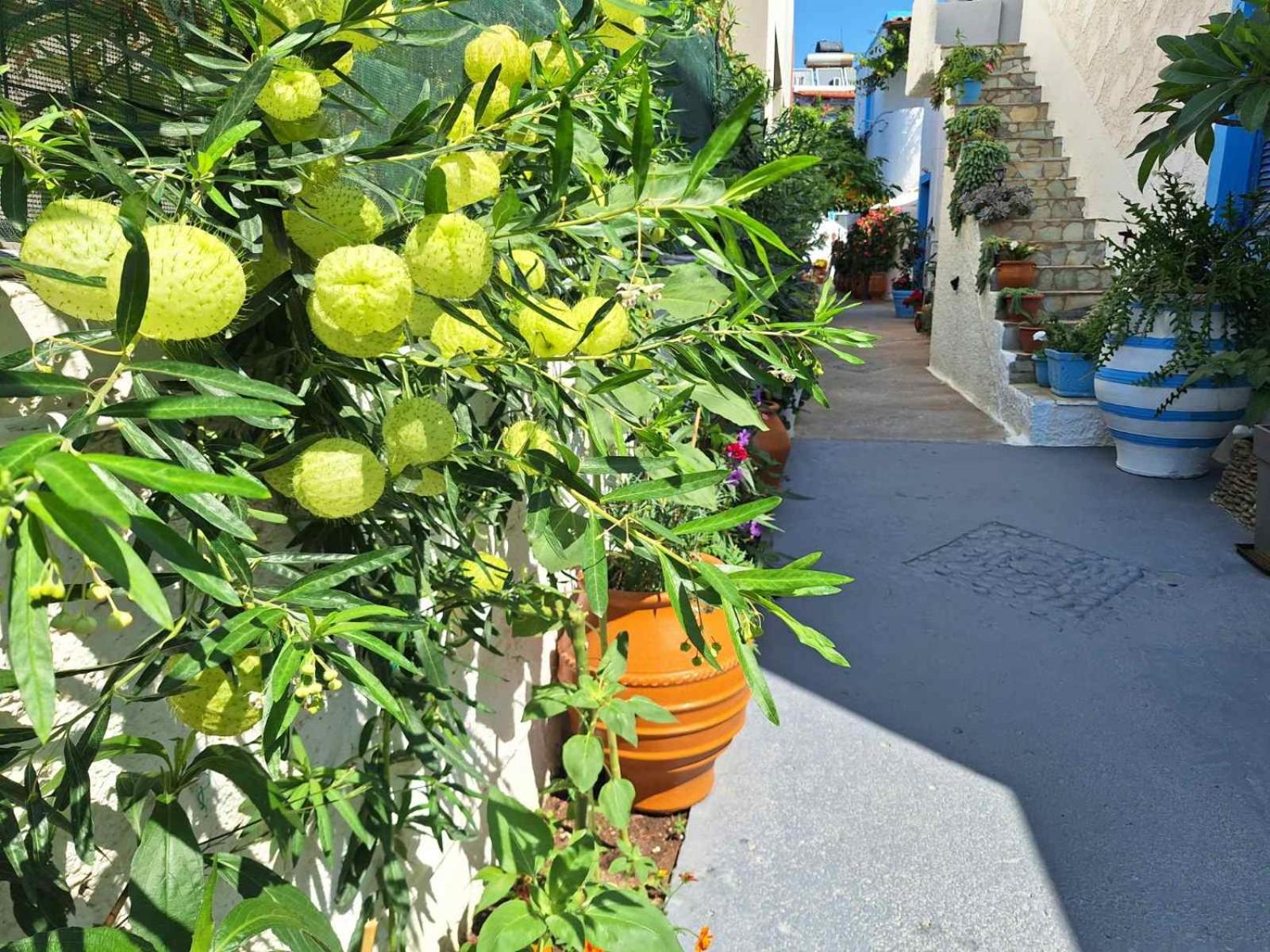 Big Blue Apartments Μακρύγιαλος Εξωτερικό φωτογραφία