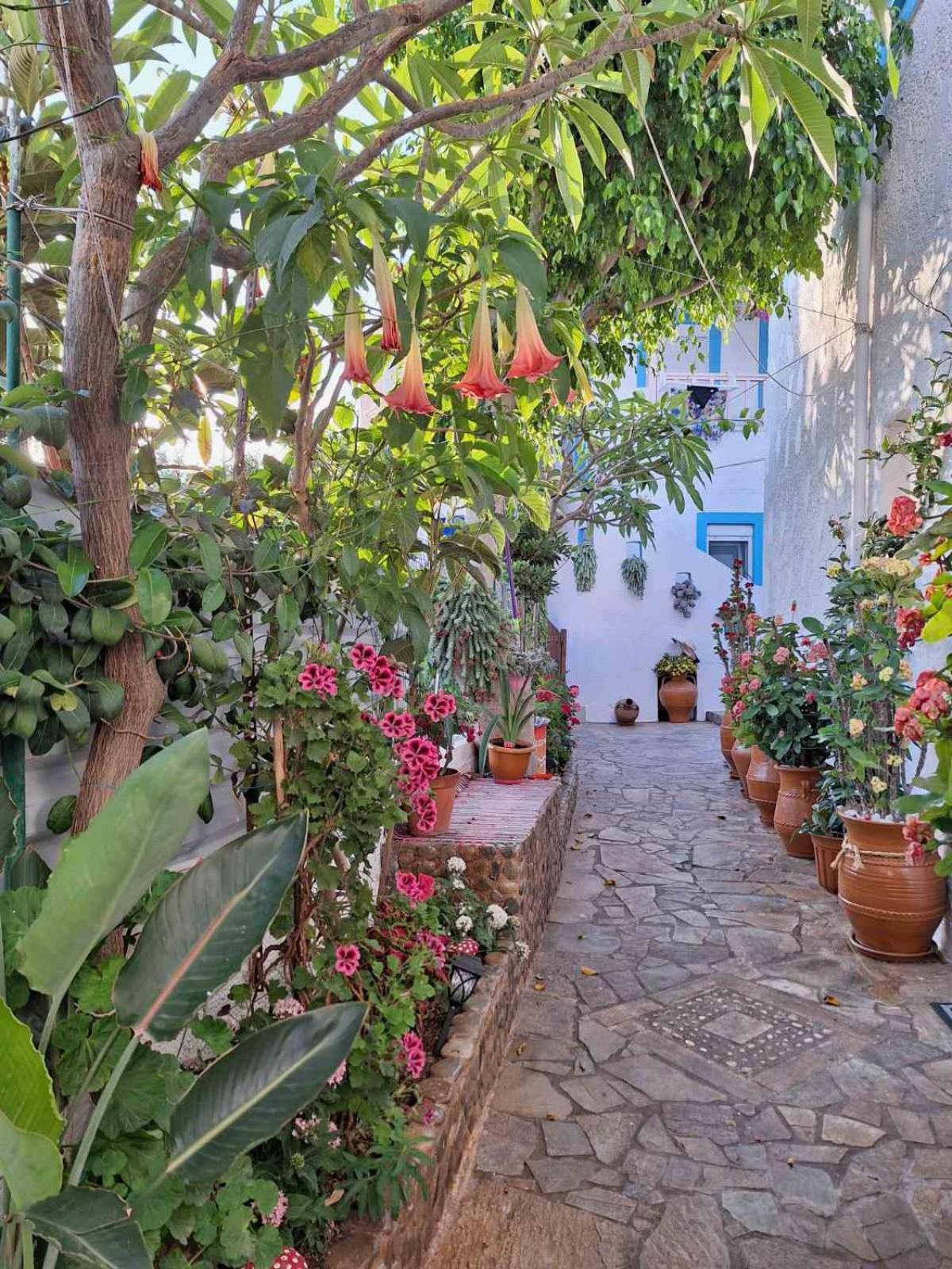 Big Blue Apartments Μακρύγιαλος Εξωτερικό φωτογραφία