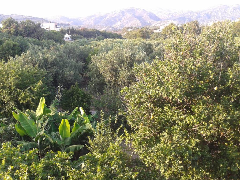 Big Blue Apartments Μακρύγιαλος Δωμάτιο φωτογραφία